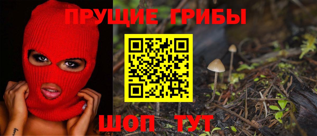 Псилоцибиновые грибы GOLDEN TEACHER  Вход с VPN  Новороссийск 